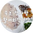 속초 회센터 장사항활어회직판장 - 동해안 전복치, 우럭회, 멍게와 해삼