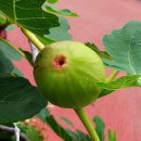 세무서길 이미지