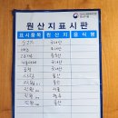 육회말투아웃삼산점 네이버블로그