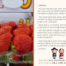 조제농장 이미지