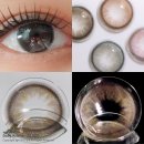 윙크렌즈스토어 한티역점 | 하파크리스틴 오프라인 한정 NEW 신규컬러 돌리 크리스틴 블랙 #장원영렌즈