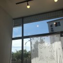 퓨로텍주 | 꿀덩일기 : 12w-14w