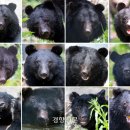 유일렌즈 이미지