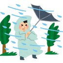 태풍약국 이미지
