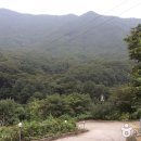 백운장뇌삼관광농원 | 경기도 포천 가볼만한곳 베스트10 여행 명소 추천