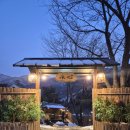 야자수펜션 | 가평 펜션 서울 근교 촌캉스 독채 펜션 추천, 블루문펜션 야자수그늘 후기