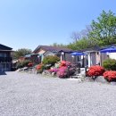 한솔팬션민박 이미지