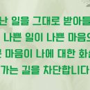 있는그대로 이미지