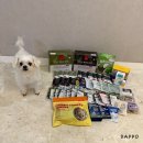 L.G메디 | 2025 케이펫페어 수원 메쎄 펫박람회 후기 샘플 주차