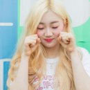 에스에이엔터테인먼트 이미지