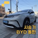 조타스웨디시 | [시승기] 2,100만원에 누리는 풀옵션 전기차? BYD 돌핀 | 한번타볼Car