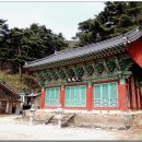 백리벚꽃길 이미지