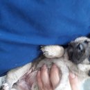 묘산면사무소 이미지