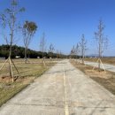 와룡지구 이미지