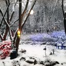 퇴촌 낭만펜션 이미지