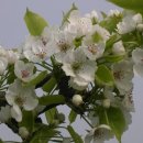 쇠꼴마을 이미지