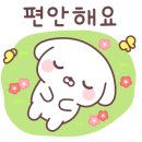 정상태권도 이미지