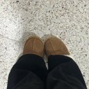 어 슈 | 대구어그세탁 맡겼더니 새 신발처럼 돌아온 피그말리온 슈케어 후기