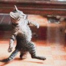 연무중학교 이미지