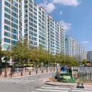 세라가드 이미지