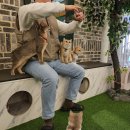 비오멤버스 | 남포동 프리미엄 고양이 테마파크 브룩스캣슬 부산 고양이카페 보드게임카페 아이와 재방문 후기