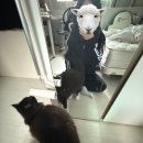 방우농장 이미지