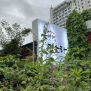 속초리 | 속초 영랑동 맛집 내돈내산 몸보신 금이네염소탕