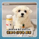 분홍강아지 | 저칼로리·비건·훈련용으로 좋은 강아지 간식 슈퍼포우굿보이트릿산양유 트릿 후기