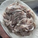 내일발송 특大암치홍어/준치회/곱창김 판매합니다!! 이미지