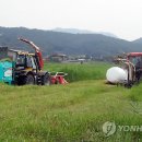 달천축산 이미지