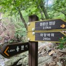 지리산 밸리팬션 | 양평 용문산 등산후기::난이도 최상 네발로 기어감 #용문산맛집 #돗가비불쭈꾸미본점