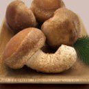 봉림농장 이미지