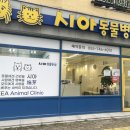 시아동물병원 이미지