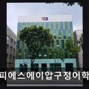 피에스에이