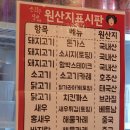 은화수 이미지