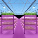 박영환농장 이미지