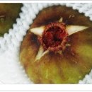 김종철농장 이미지