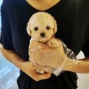 아이지소프트 이미지