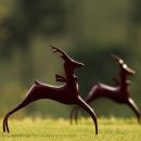여주-0558 네이버블로그
