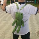 개구리게임장 이미지