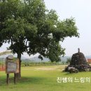 안남면행정복지센터 네이버블로그