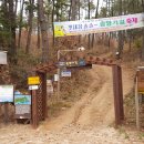 바다와솔숲 이미지