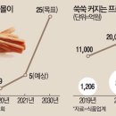 건강식품 이미지