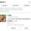 궁금 이미지