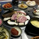 조선도야지 이미지