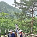 제일여행 Daum카페