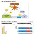 무소불위의 포털 어찌하오리까? 이미지