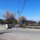 평화통일목장 이미지