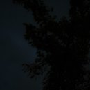 매그네이트 이미지