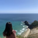 보나샌드 Bona sand | 뉴질랜드 워홀 #83 Cape Reinga tour🌞/ Giant sand dunes 샌드보딩🏄🏻‍♀️